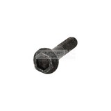 ZESKANTBORGBOUT M10X55-10.9-MA